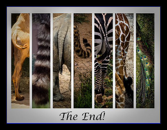 The End!