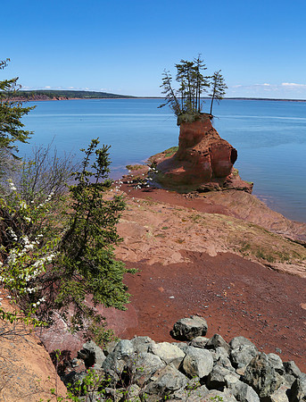 Flower Pot, Nova Scotia Style
