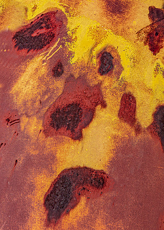 Rusty Dog