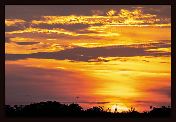 Savannah Sunset Landing