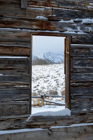 A Cabin's Winter View