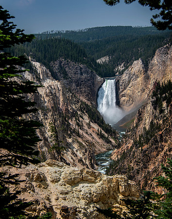 Lower Falls Yellowstone