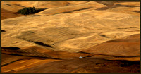 Palouse Panoramic