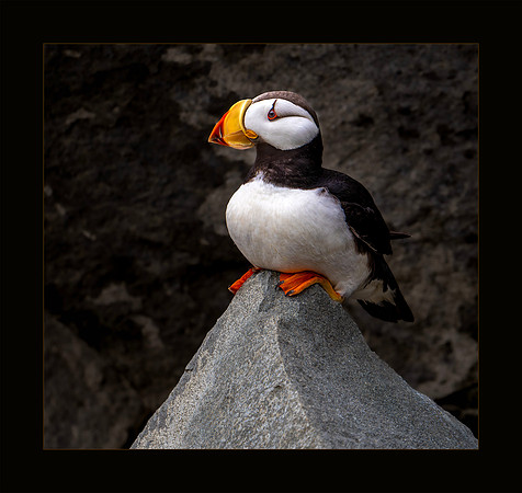 On a Pedestal - HM