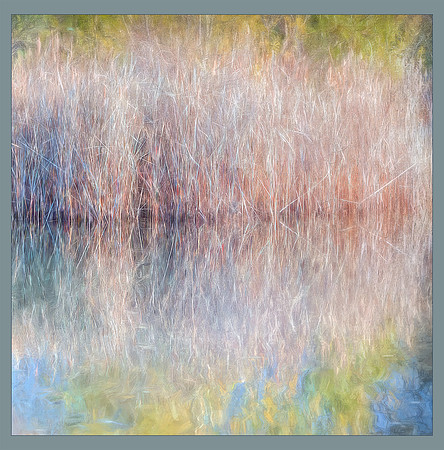 Into the Light - 1st