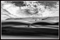 Dali Landscape - 1st