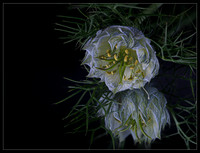Airy elegance - 1st
