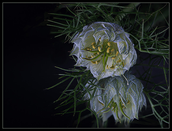 Airy elegance - 1st