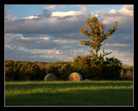 Harvest Light - 1st