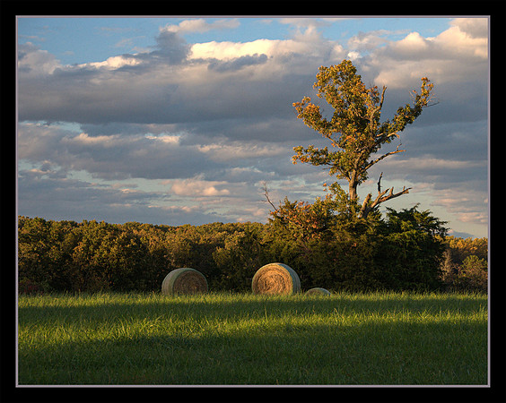 Harvest Light - 1st