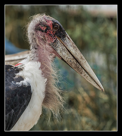 Bad Hair Day