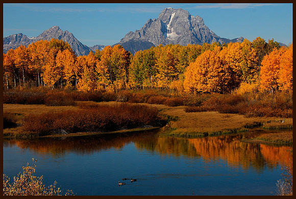 Fall at Oxbow Bend