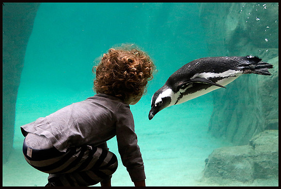 Fascinated