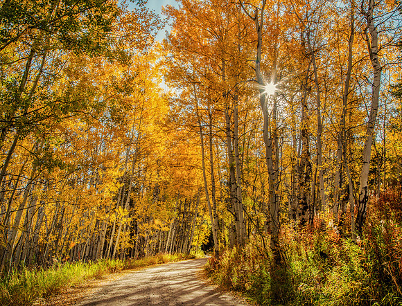 Following the Trail