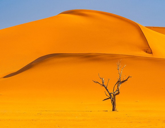 Lonely in Orange