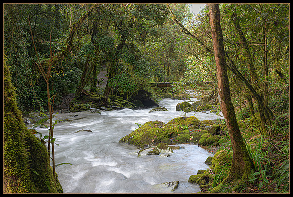 Rocky Stream