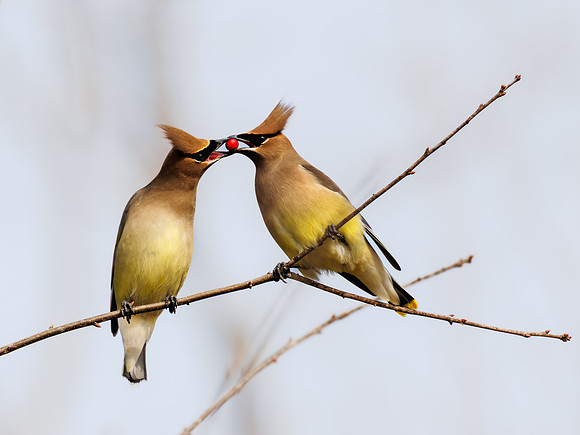 True Love