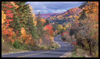 Autumn's long way home