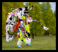 Grass Dancer