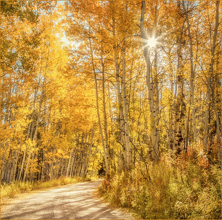 Following the Trail