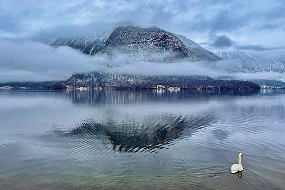 Silent Guardian of the Lake