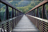Bridge Walk