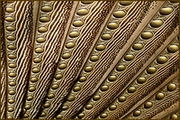 Bronze Flourish