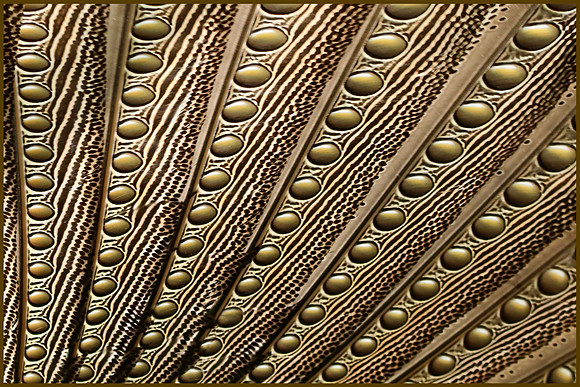 Bronze Flourish