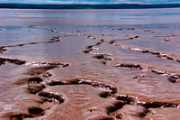 Ebb Tide