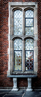 Face In Window