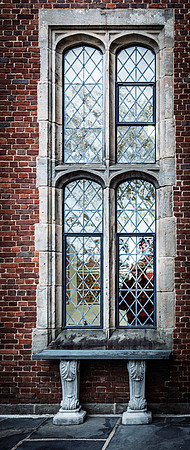 Face In Window