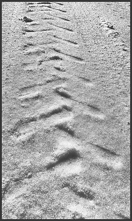 Traction