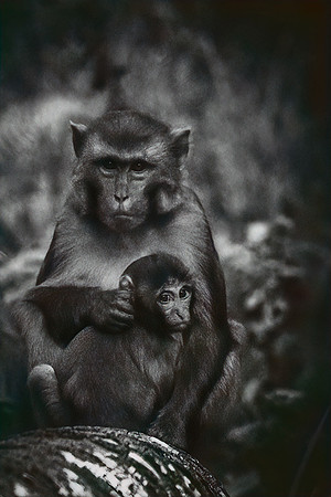 Protected