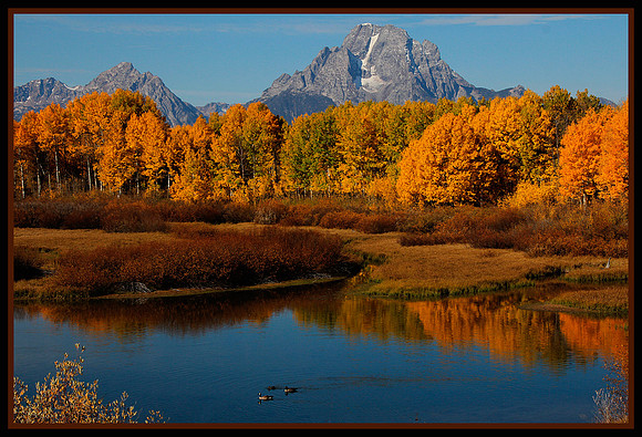 Oxbow Bend in Fall