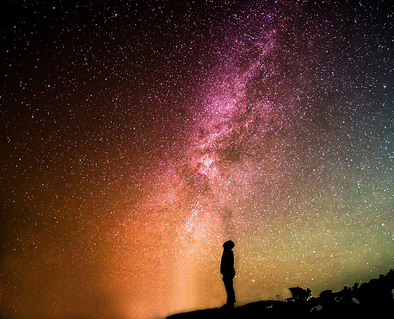 Star Gazer