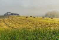Pastoral