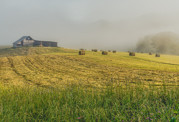 Pastoral