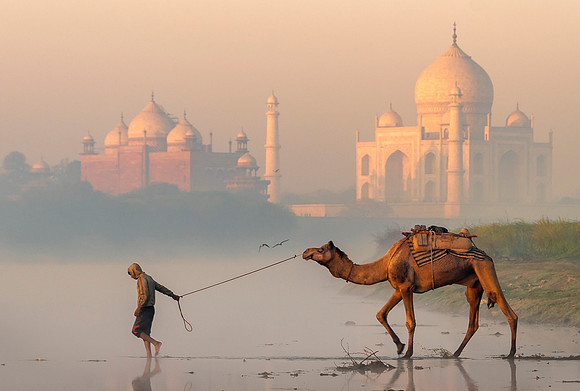 Taj Mahal at Sunrise