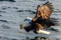 Fishing in Canada