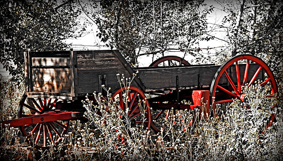Wagon in the Weeds