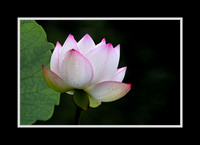 Unfolding