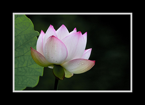 Unfolding