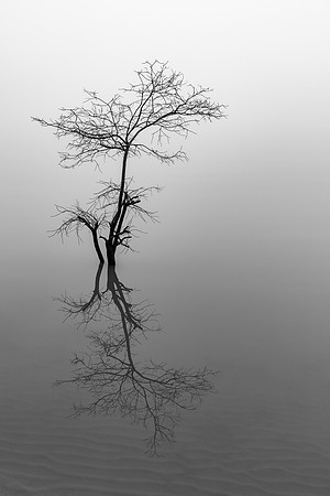 Flood and Fog