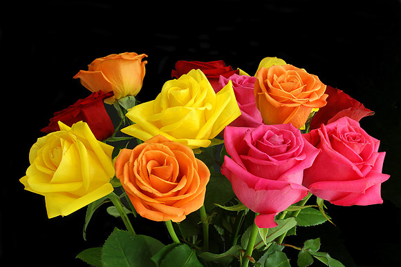 Birthday Bouquet