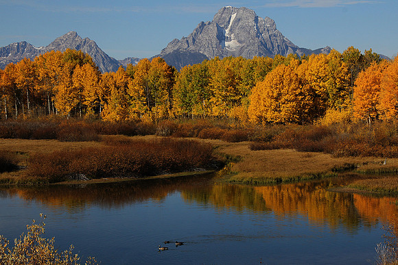 Oxbow Bend in Fall