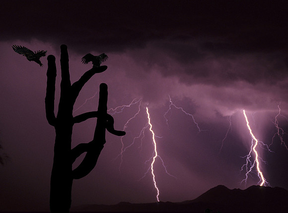 Nature's Fury