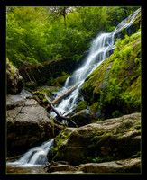 Crabtree Falls