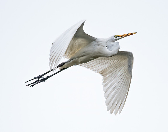 Solo Flight