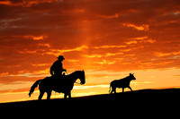 Cowboy at Sunset