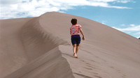 Dune Runner
